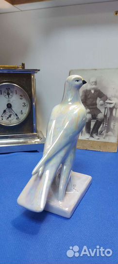 Сокол Голубь Птица Сотников Дулево