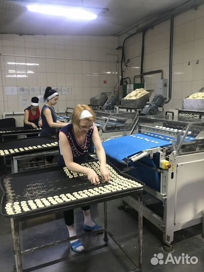 Укладчик хлебобулочных изделий