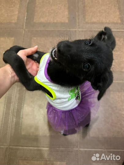 Я буду твоей принцессой