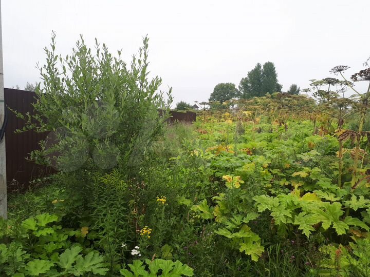 Участок 12,6 сот. (ИЖС)