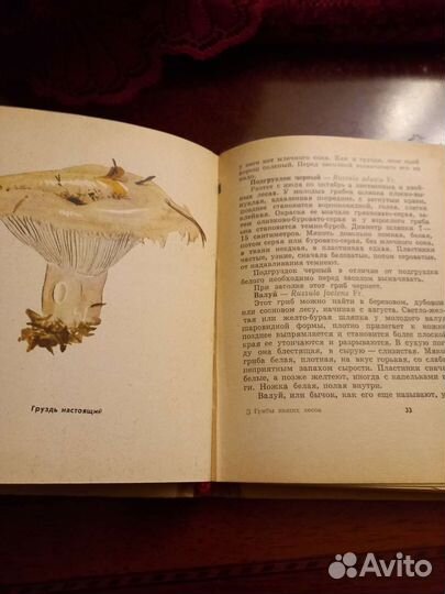 Грибы наших лесов. Книга