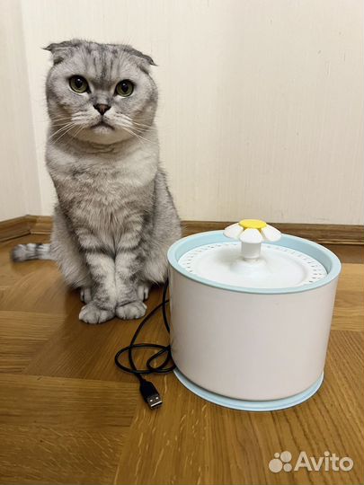 Фонтан поилка для кошек