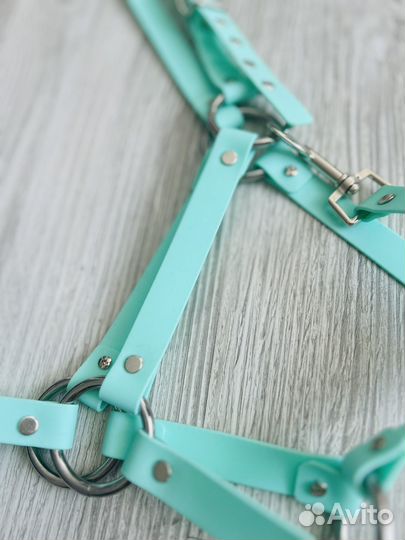 Амуниция из биотана для животных