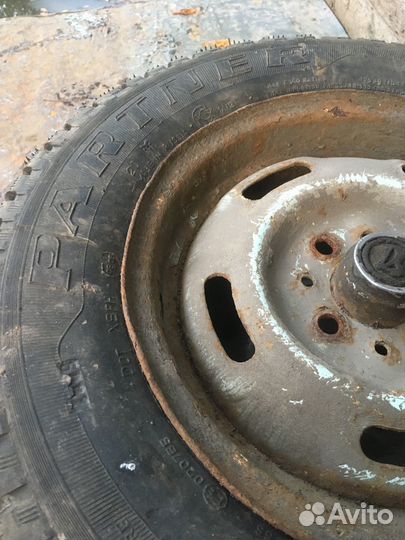 Gold Partner GP323 175/70 R13