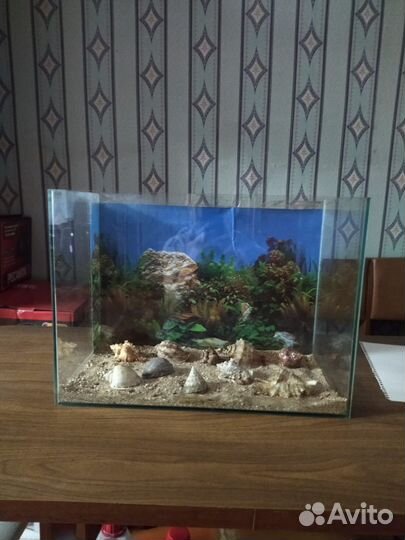 Аквариум
