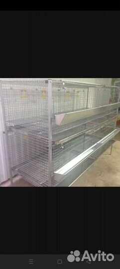 Клетки для перепелов, бройлеров, несушек