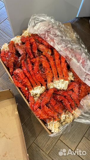 Краб колючий Камчатка