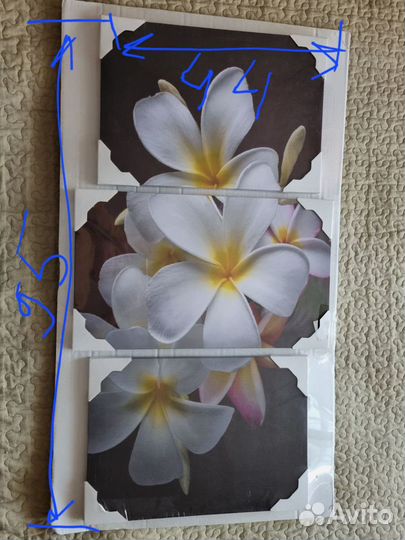 Новая модульная интерьерная картина, в упаковке