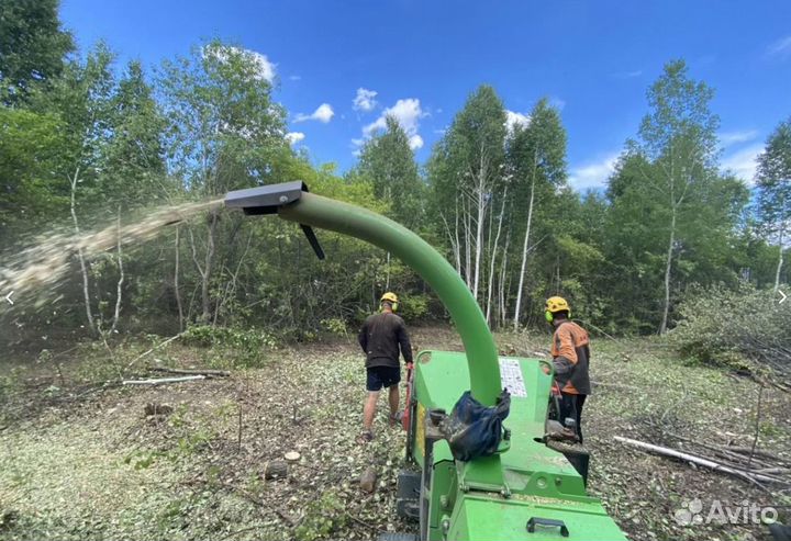Расчистка участка без посредников. Спил деревьев