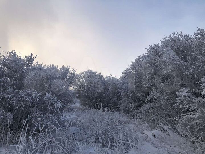 Участок 8 сот. (ИЖС)