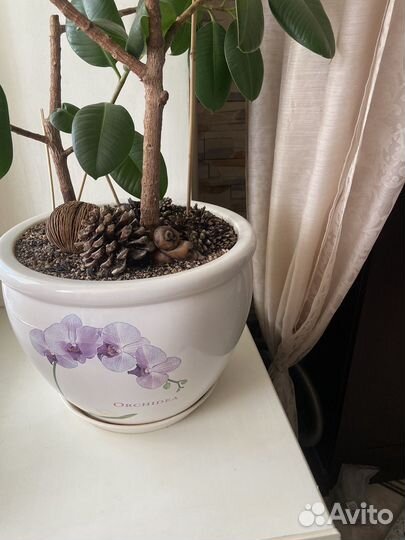 Керамические горшки