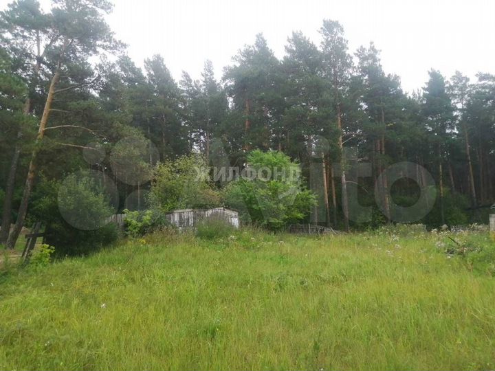 Дом 64,6 м² на участке 20,6 сот.