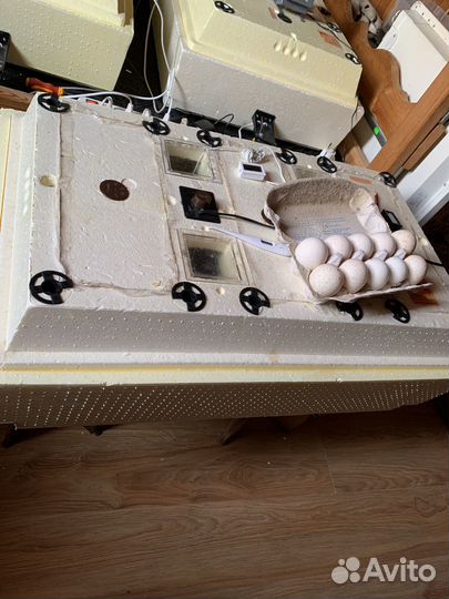 Инкубатор для яиц золушка, автомат, ия