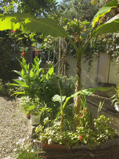 Комната 18 м² в 2-к., 1/1 эт.