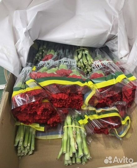 Гвоздика оптом