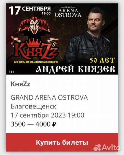 Билеты на концерт княzz