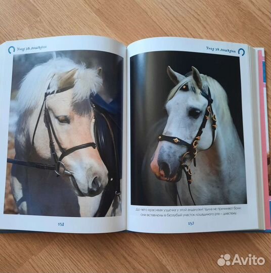 Яркая книга-альбом 