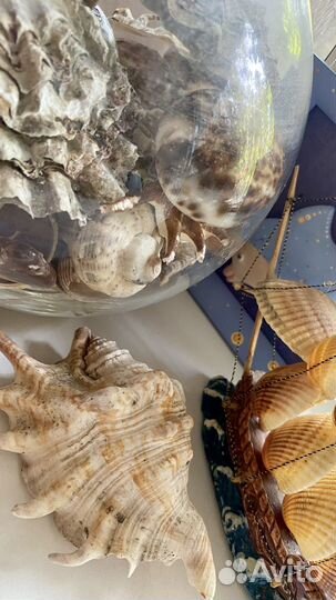 Набор морской