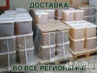 Мёд опт с Алтайского края все сорта