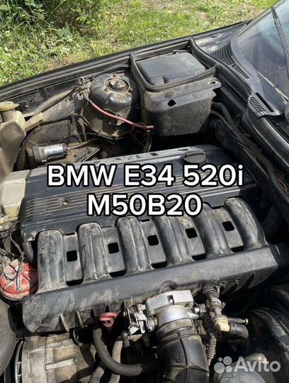 Разбор BMW E34