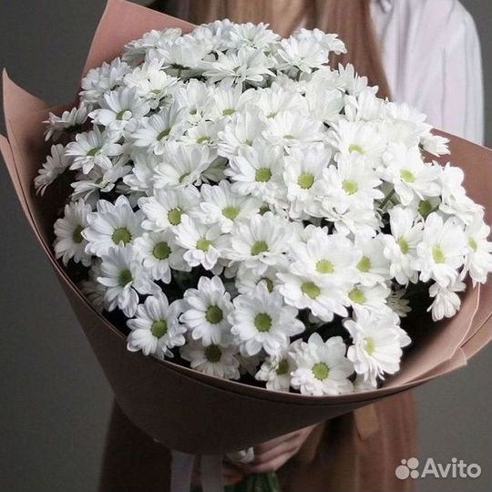 Хризантема Доставка цветов Букеты