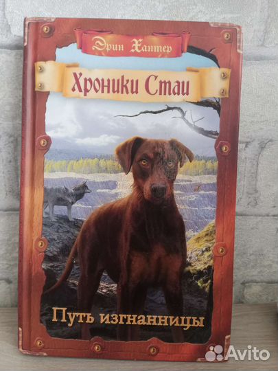 Книга хроники стаи путь изгнаницы Эрин Хантер