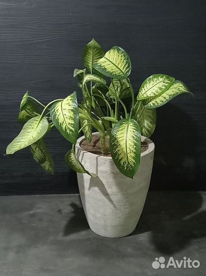 Кашпо, Вазоны, Горшки под заказ из бетона арт 188