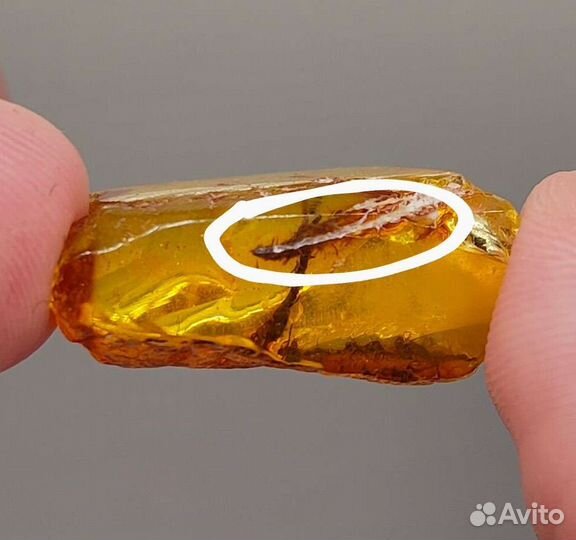 Перо и веточка / Инклюз в янтаре