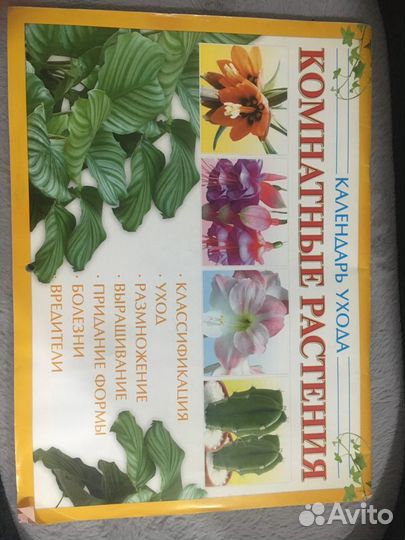 Календарь комнатных растений