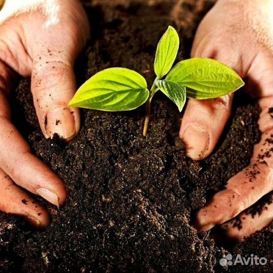 Грунт растительный