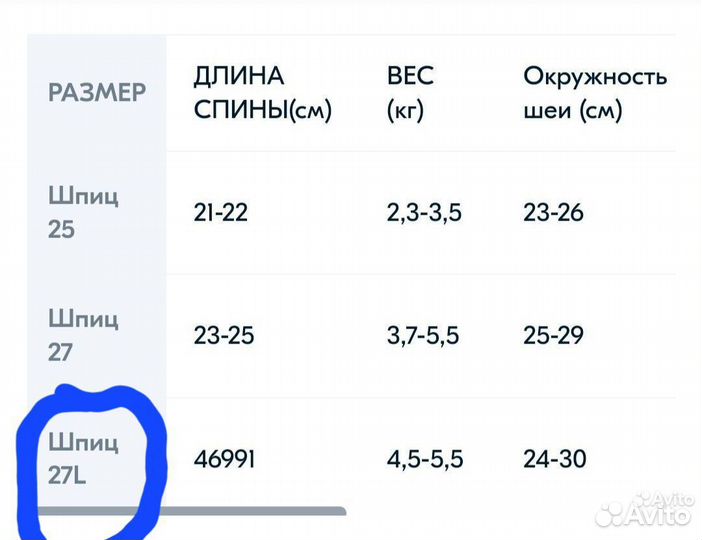 Одежда для собак шпиц 25 по спинке