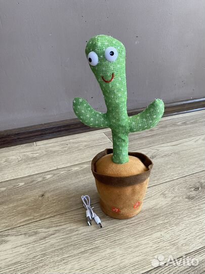 Танцующий кактус