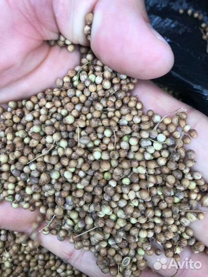 Семена, специи