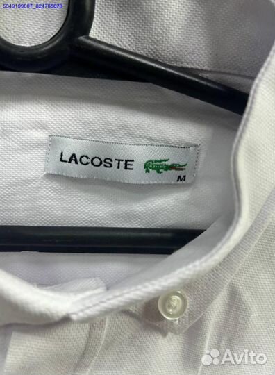 Рубашка Lacoste