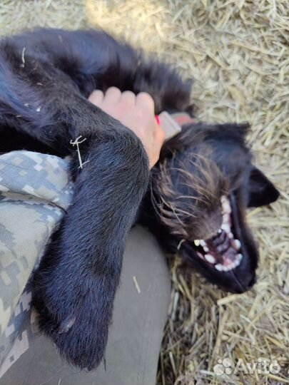 Подросток Кеша 1,5 года