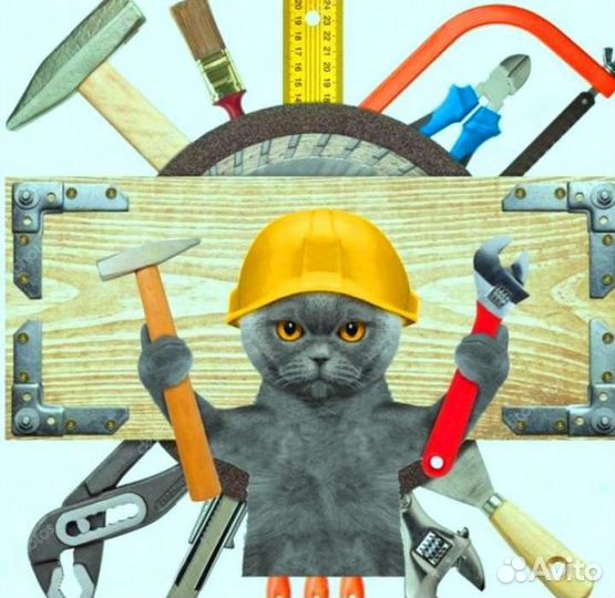 Мастер на все руки