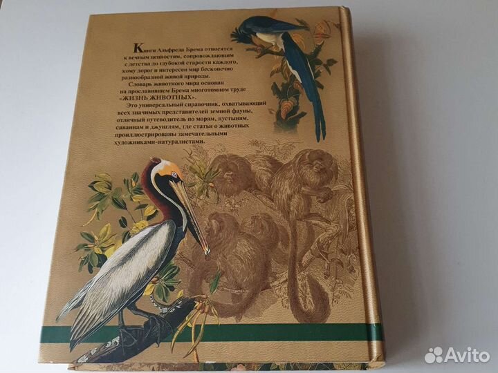 А.Брем жизнь животных