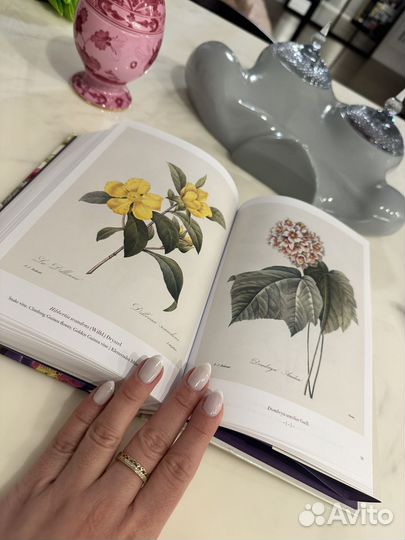 Интерьерная книга The Book of Flowers Taschen