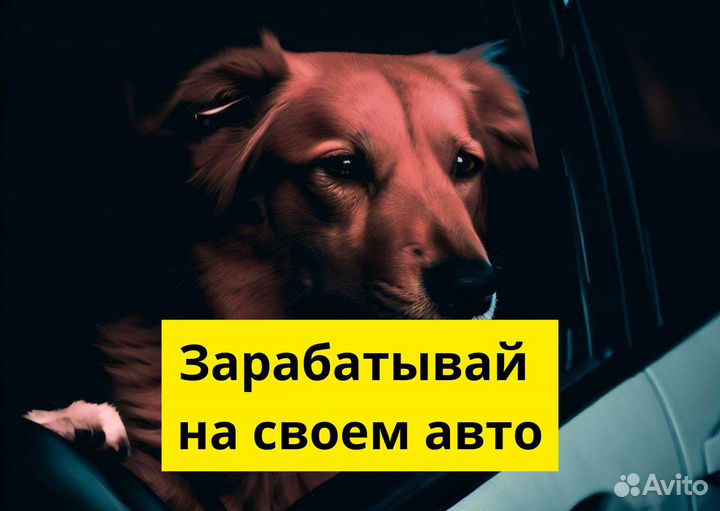 Ваше авто – вакансия в Яндекс.GO