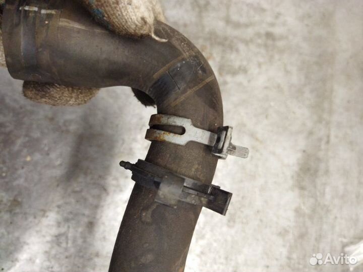 Патрубок радиатора Ford Focus 3 хетчбэк 1.6L