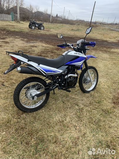 Racer Panther 250 lite