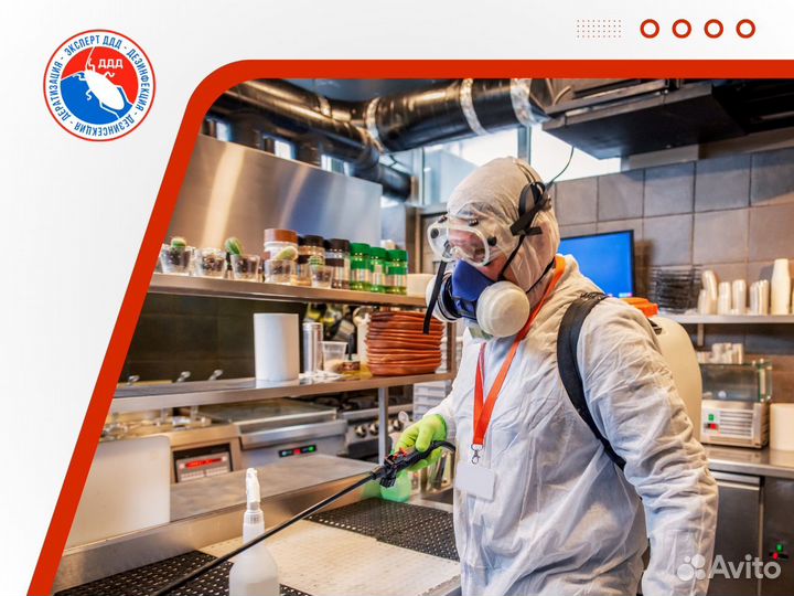 Уничтожение, дезинфекция, дезинсекция, обработка