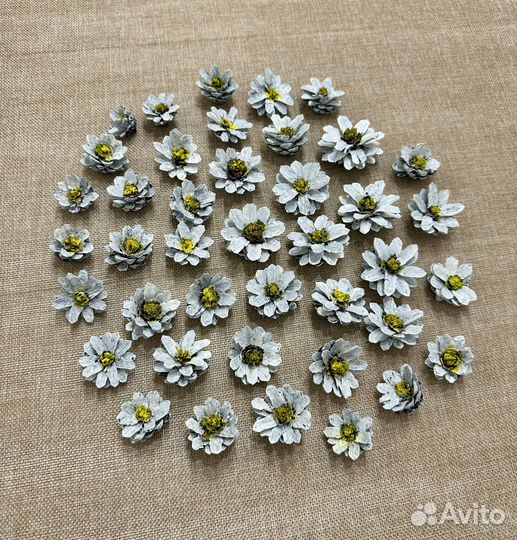 Шишки сосновые крашеные