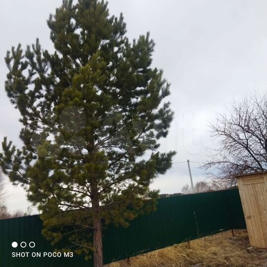 Дача 21 м² на участке 6 сот.