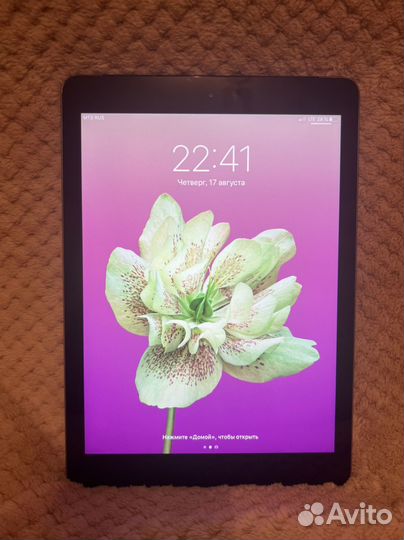 iPad