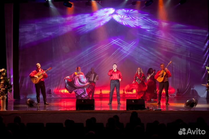 Ведущая и музыкант. Праздник на любой вкус