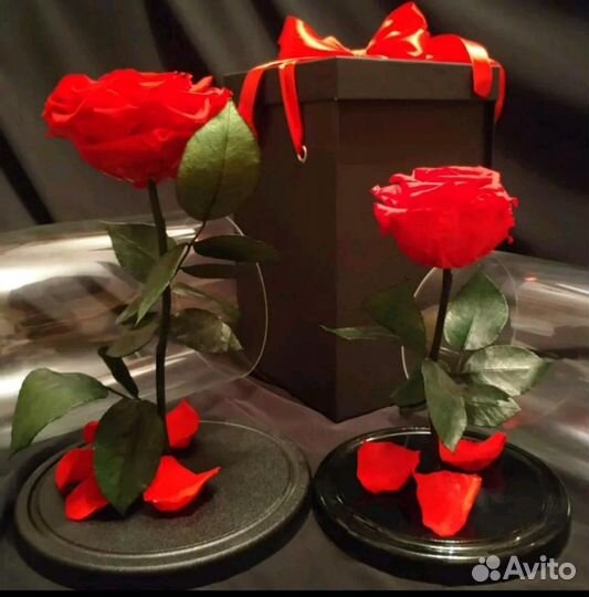 Роза в колбе (вечная роза)