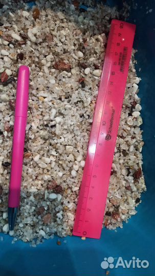 Грунт для аквариума