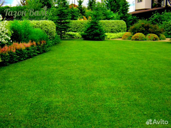Газон рулонный делюкс