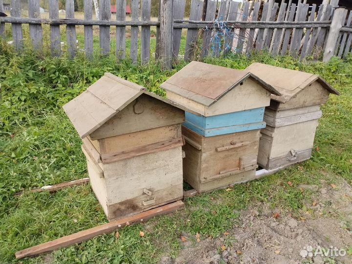 Улей для пчел